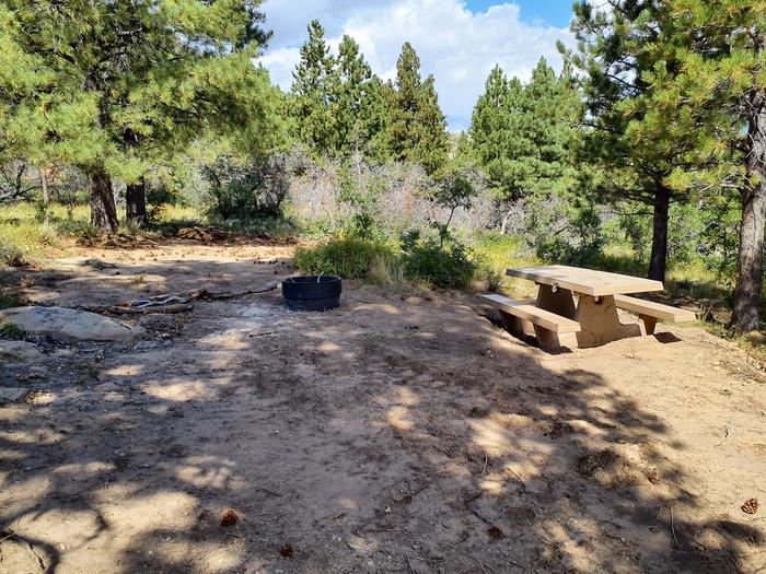 Picnic table and fire ring with tent pad in the back.Price Canyon campsite 2