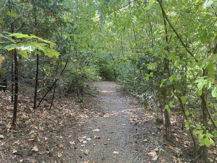 BRIDAL VEIL GROUP