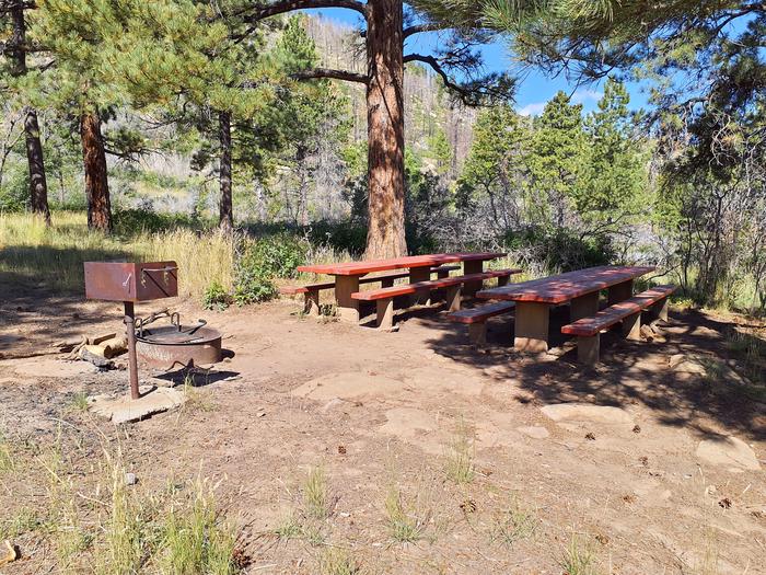 Picnic tables and fire ringPrice Canyon group campsite 2