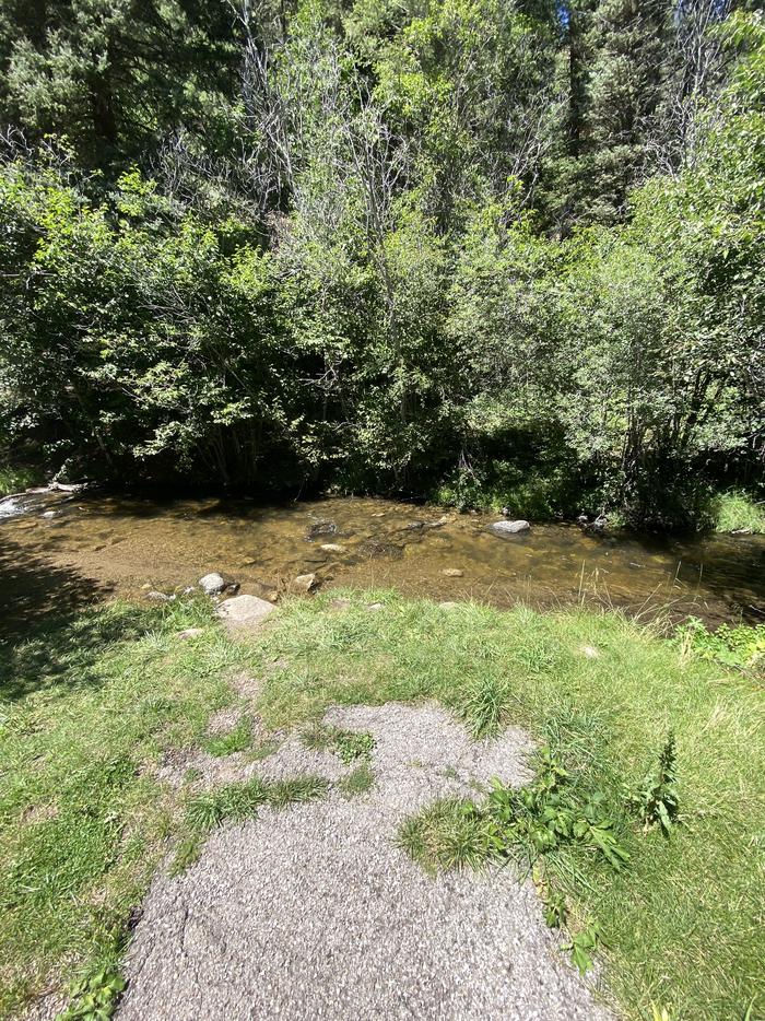 Trail in campsite runs by Holy Ghost Creek Trail in campsite runs by Holy Ghost Creek