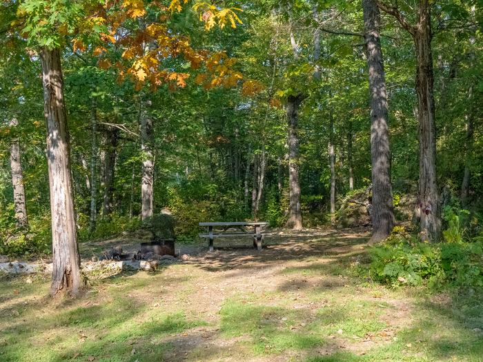 Haskell Deadwater Campsite is shaded with a firepit, pit toilet, and picnic table at the site.The Haskell Deadwater campsite has a firepit, pit toilet, and picnic table for campers to use. The portage trail runs alongside the campsite.