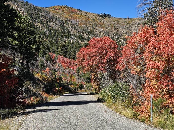 Preview photo of Price Canyon Recreation Area