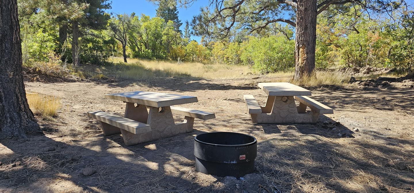 2 picnic tables and a fire ring with tent pads behind themCampsite one picnic tables and fire rings and tent pads behind the tables.