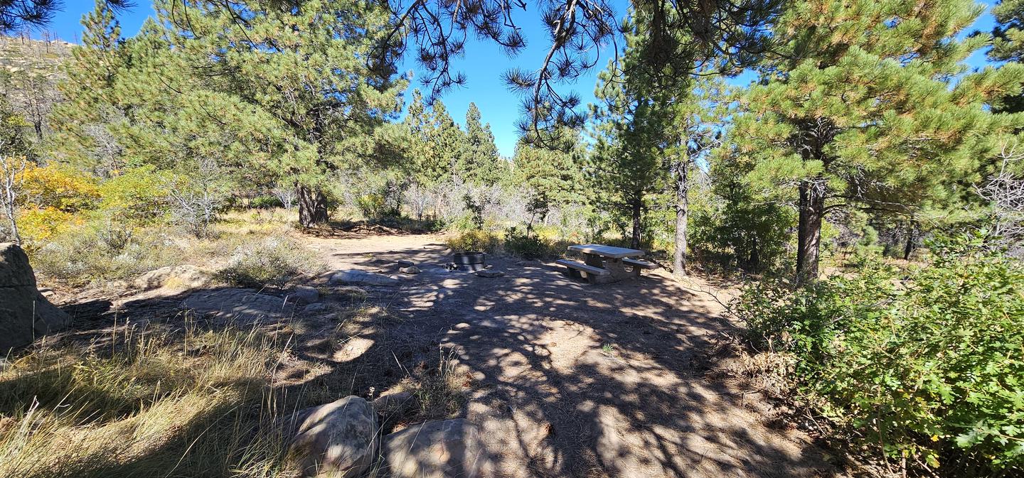 Picnic table and fire ring in the shade.Shady campsite with tent pad in the background.