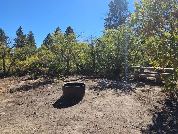 A picnic table and fire ring in cleared area surrounded by vegetation with a tent pad in the back left of photo.Campsite 3 at Price Canyon Recreation area