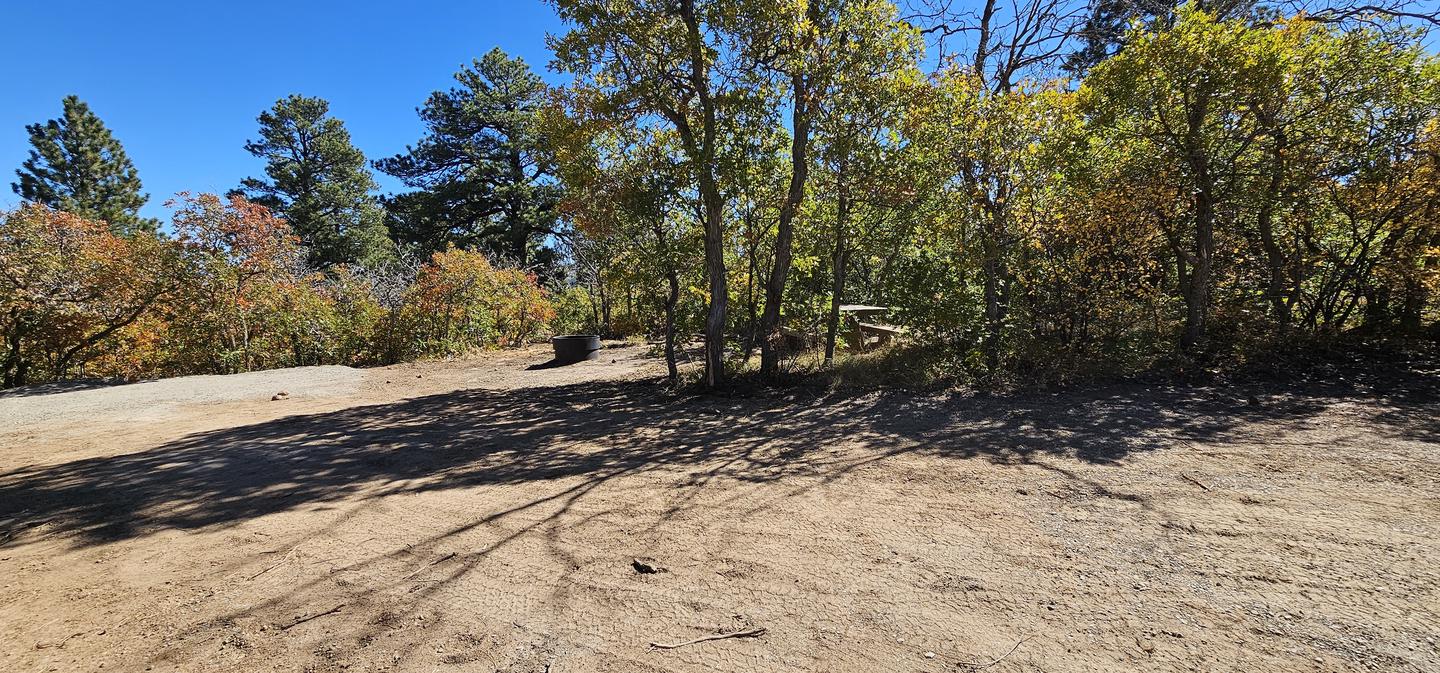 Parking area with the picnic table and fire ring seen through the bushes to the right of parking area.Campsite 3 at Price Canyon Recreation area