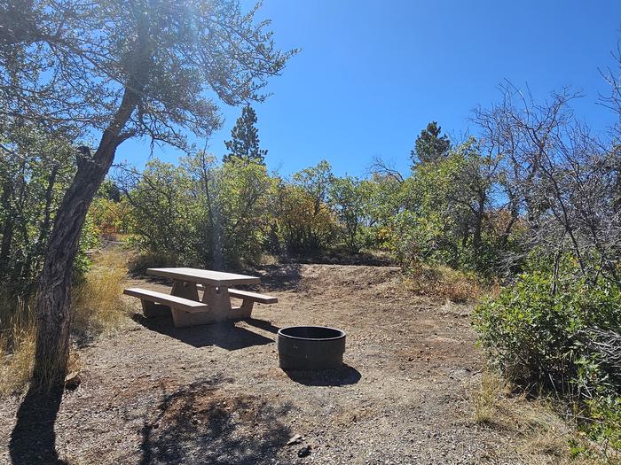 Picnic table and fire ring at campsite 4Campsite 4 at Price Canyon Recreation area.