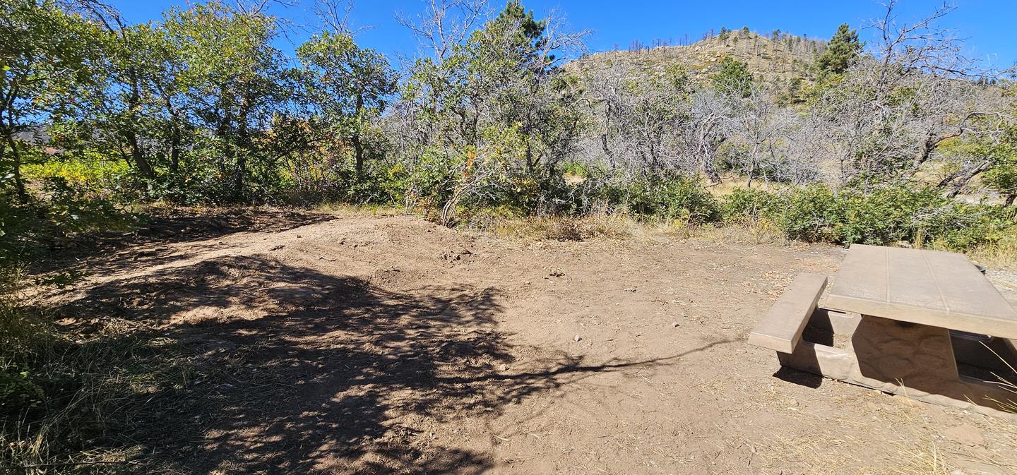 Tent pad and picnic table at campsiteTent pad and picnic table at campsite 4 at Price Canyon Recreation area.