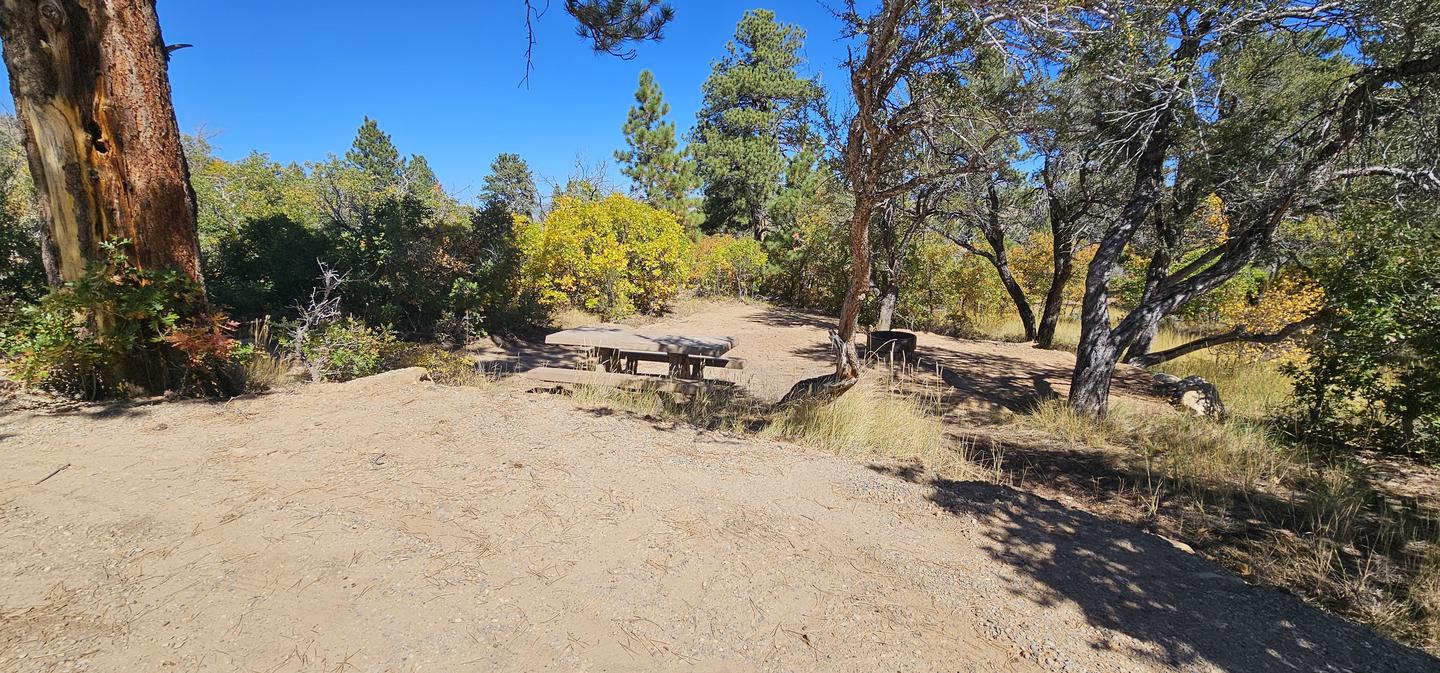 Picnic table and tent padCampsite 5 at Price Canyon Recreation area