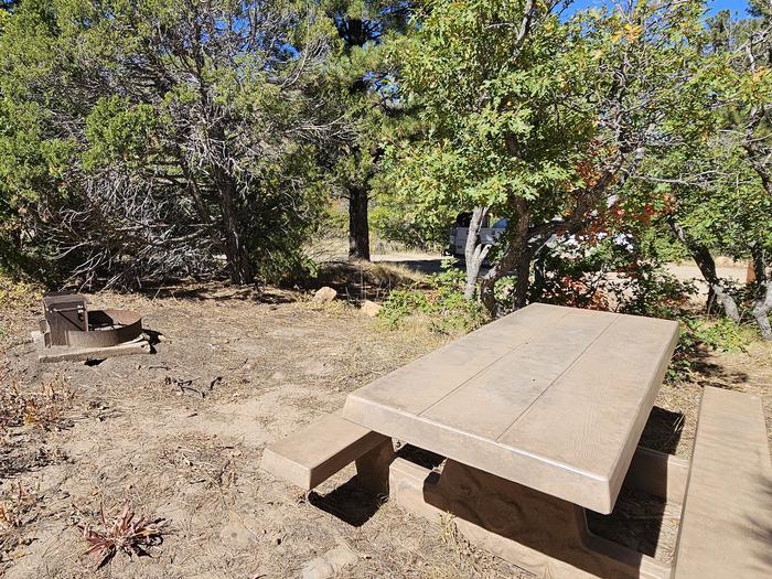 Picnic table and fire ringPrice Canyon campsite 8