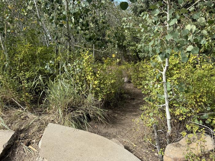 A photo of Site C08 of Loop C at PAYSON LAKES with Tent Pad