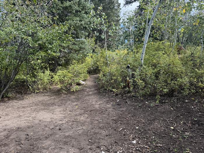 A photo of Site C08 of Loop C at PAYSON LAKES with Tent Pad