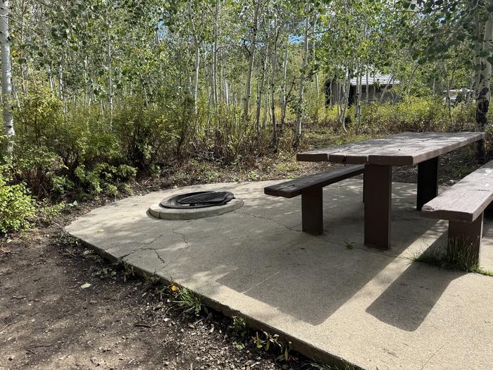 A photo of Site C15 of Loop C at PAYSON LAKES with Picnic Table, Fire Pit