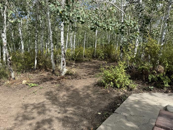 A photo of Site C15 of Loop C at PAYSON LAKES with Tent Pad