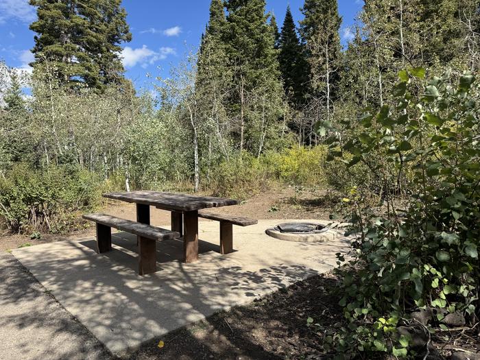 A photo of Site C26 of Loop C at PAYSON LAKES with Picnic Table, Fire Pit, Tent Pad