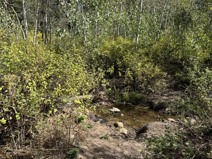 A photo of Site C26 of Loop C at PAYSON LAKES with Waterfront