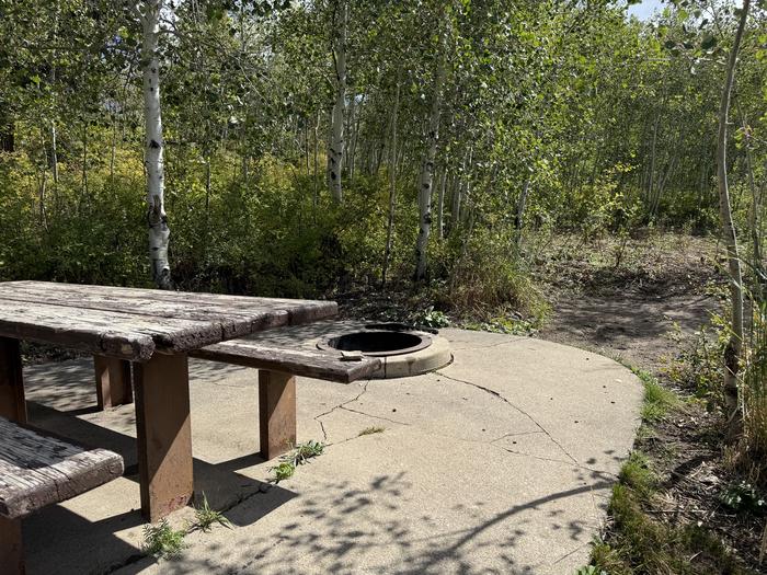 A photo of Site C23 of Loop C at PAYSON LAKES with Picnic Table, Fire Pit, Tent Pad