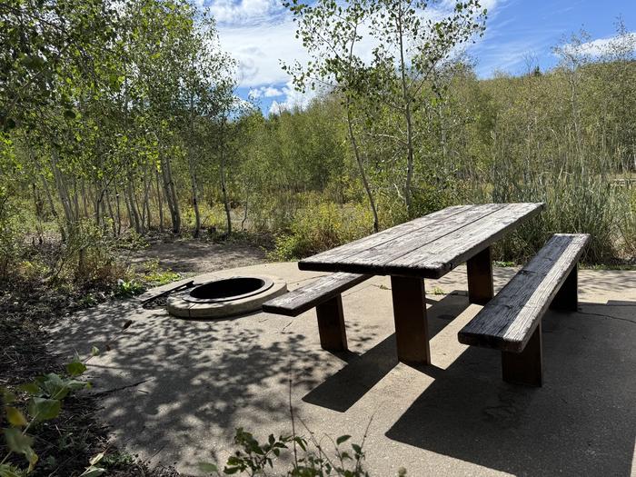 A photo of Site C23 of Loop C at PAYSON LAKES with Picnic Table, Fire Pit, Tent Pad