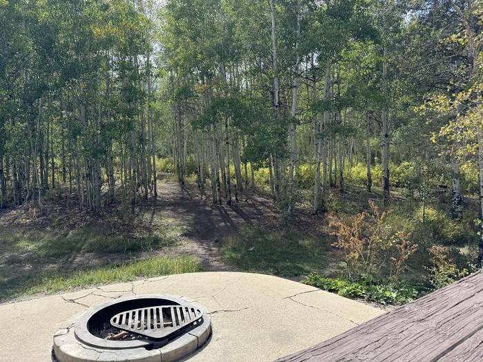 A photo of Site C16/17 of Loop C at PAYSON LAKES with Tent Pad