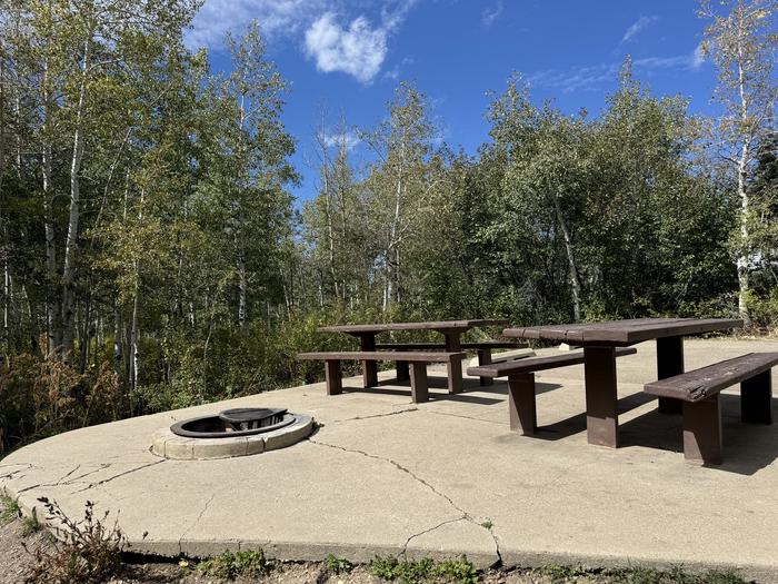 A photo of Site C16/17 of Loop C at PAYSON LAKES with Picnic Table, Fire Pit