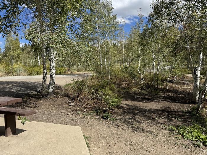 A photo of Site C16/17 of Loop C at PAYSON LAKES with Tent Pad