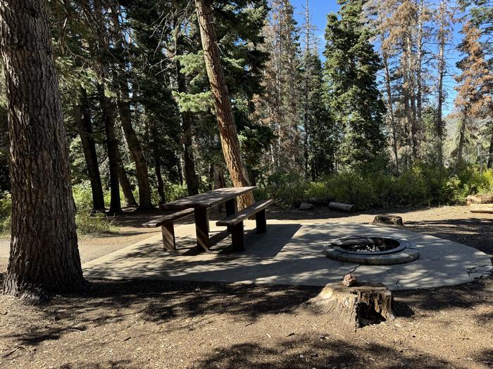 A photo of Site C01 of Loop C at PAYSON LAKES with Picnic Table, Fire Pit