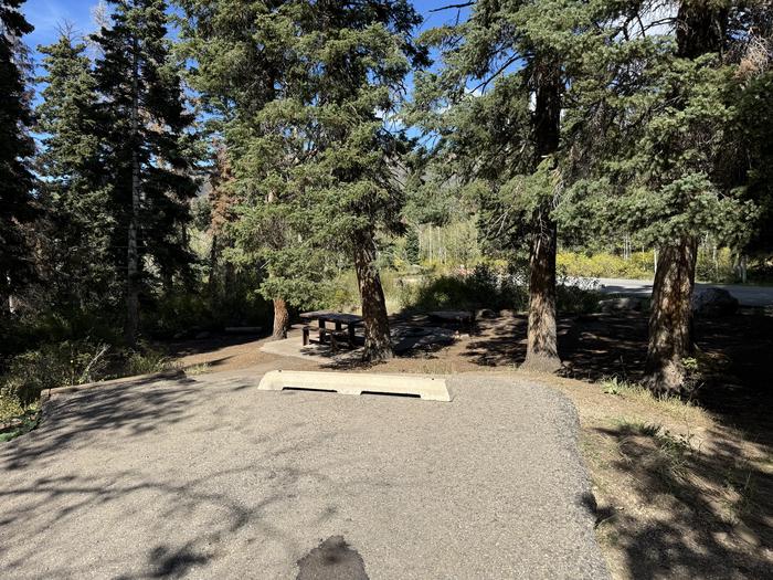 A photo of Site C01 of Loop C at PAYSON LAKES with Tent Pad