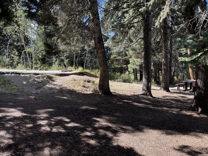 A photo of Site C01 of Loop C at PAYSON LAKES with Tent Pad