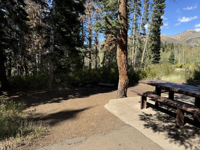 A photo of Site C01 of Loop C at PAYSON LAKES with Picnic Table, Tent Pad