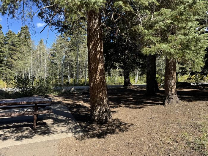 A photo of Site C01 of Loop C at PAYSON LAKES with Tent Pad