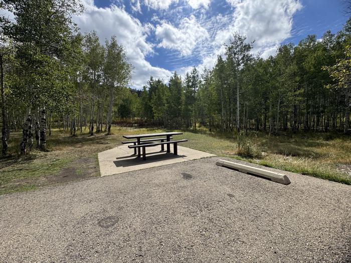 A photo of Site C19 of Loop C at PAYSON LAKES with Picnic Table, Fire Pit