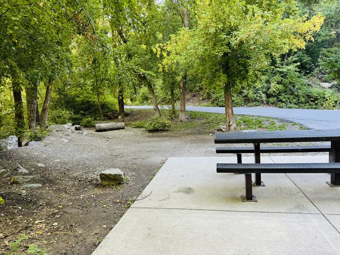 Tent Pad and Picnic Table