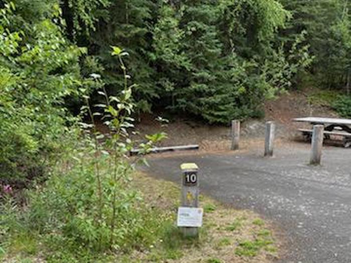 Accessibility site with flat campsite with 2 tables, firepit, and boreal forest in the backgroundCampsite 10, Loop Skyview