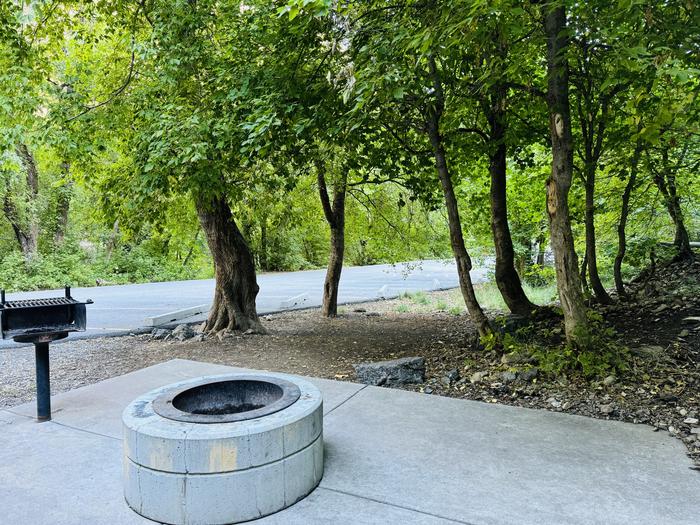 A photo of Site 016 of Loop LITT at LITTLE MILL with Picnic Table