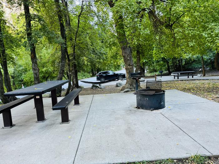 A photo of Site 014 of Loop LITT at LITTLE MILL with Picnic Table