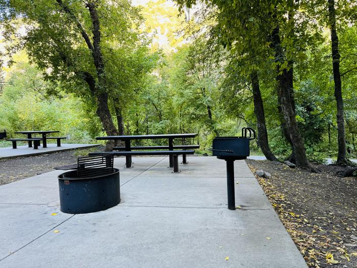 A photo of Site 014 of Loop LITT at LITTLE MILL with Picnic Table