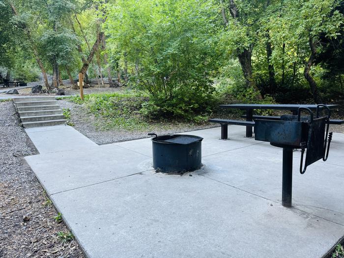 A photo of Site 017 of Loop LITT at LITTLE MILL with Picnic Table