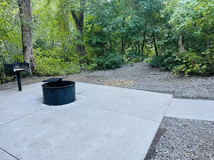 A photo of Site 017 of Loop LITT at LITTLE MILL with Picnic Table