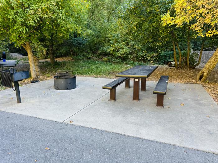 A photo of Site 019 of Loop LITT at LITTLE MILL with Picnic Table