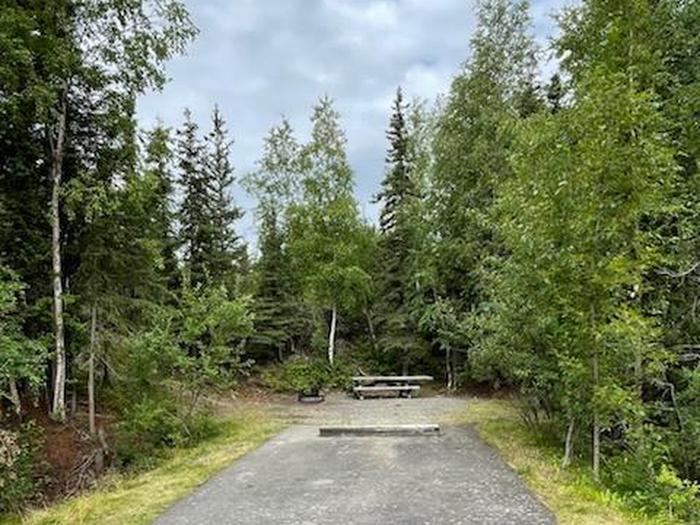 Flat campsite with table, firepit, and boreal forest in the backgroundCampsite 14, Loop Skyview