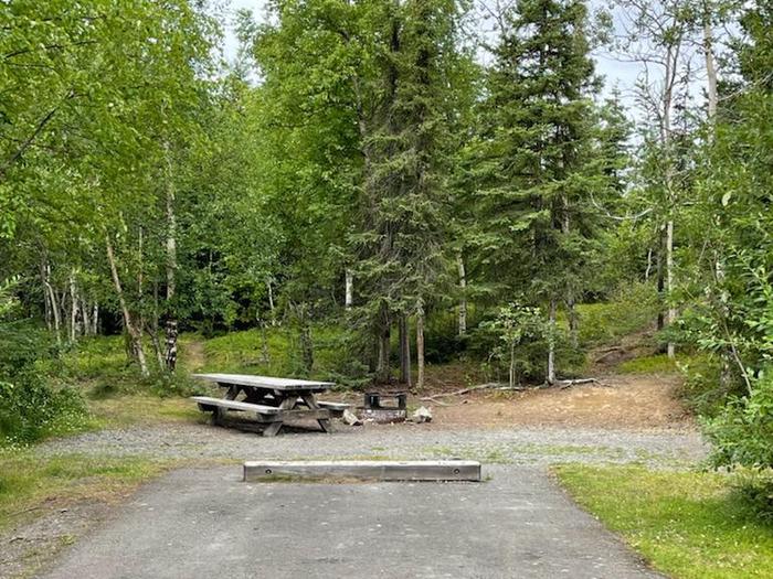 Flat campsite with table, firepit, and boreal forest in the backgroundCampsite 17, Loop Skyview