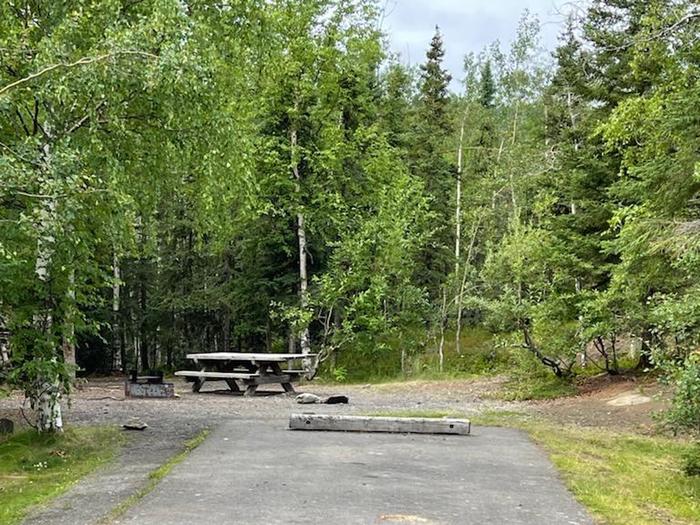 Flat campsite with table, firepit, and boreal forest in the backgroundCampsite 22, Loop Skyview