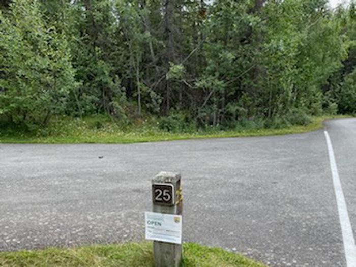 Flat campsite with table, firepit, and boreal forest in the backgroundCampsite 25, Loop Skyview