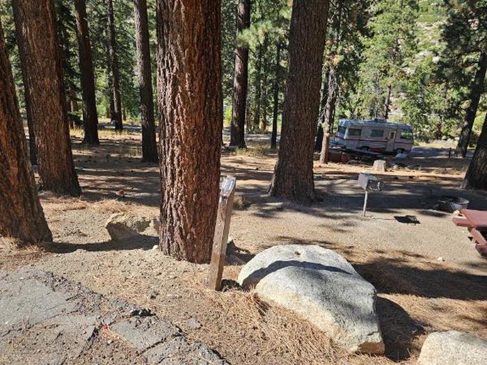 A photo of Site 11 of Loop Inner Loop at Crystal Springs