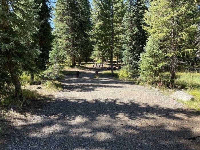 Meadows CG site 16 table, fire ring and trees site 16 table, fire ring and trees