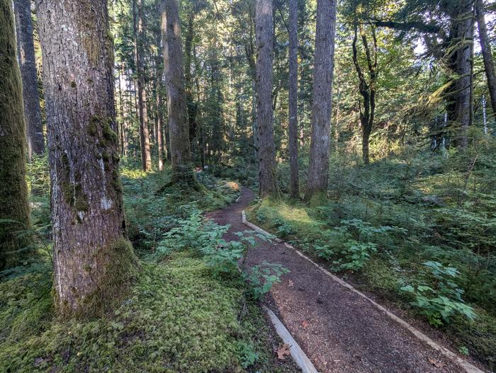 Preview photo of Middle Fork Campground