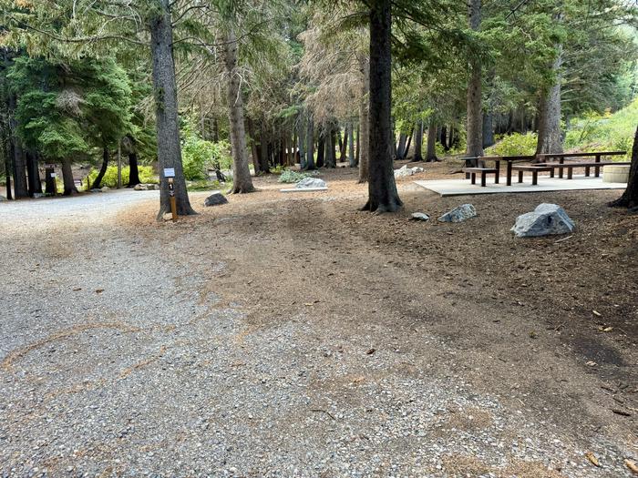 Driveway and Picnic Table