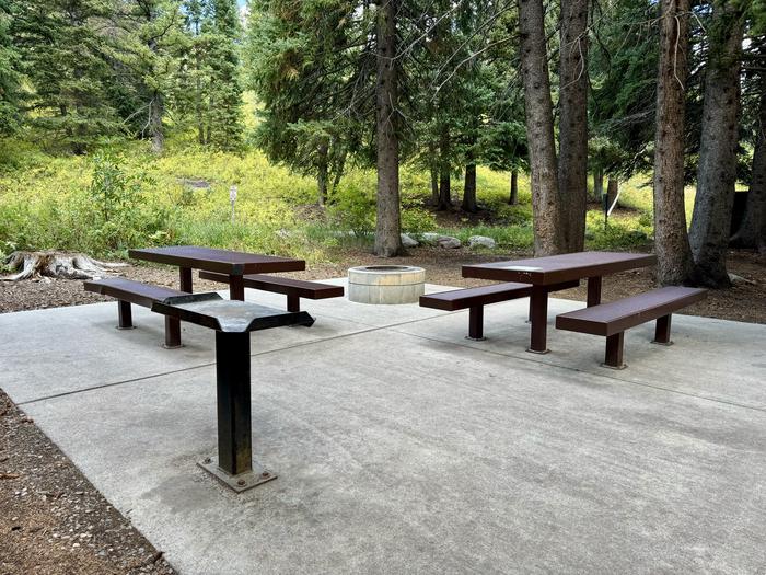 Picnic Table, Fire Ring