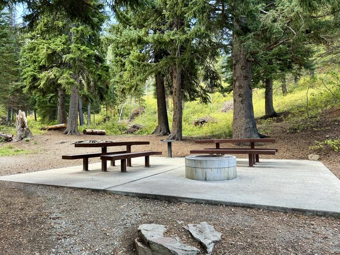 Picnic Table and Fire Ring