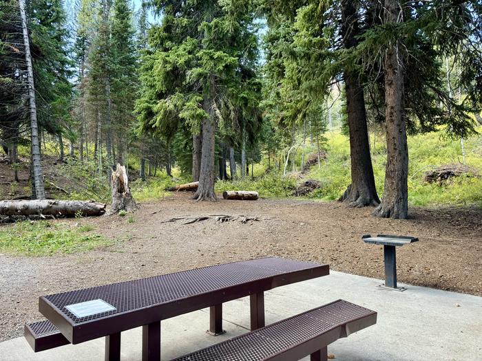 Tent Pad and Picnic Table